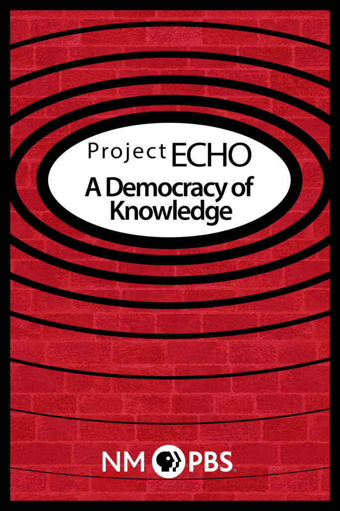 Project Echo Cover