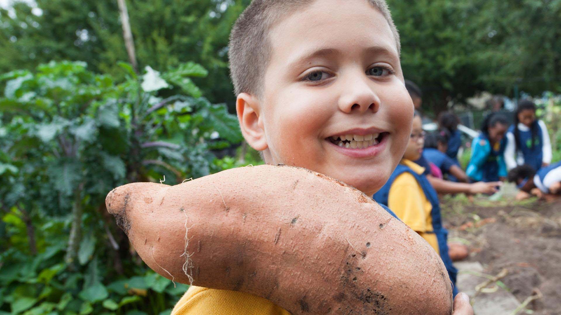 sweet potato kid