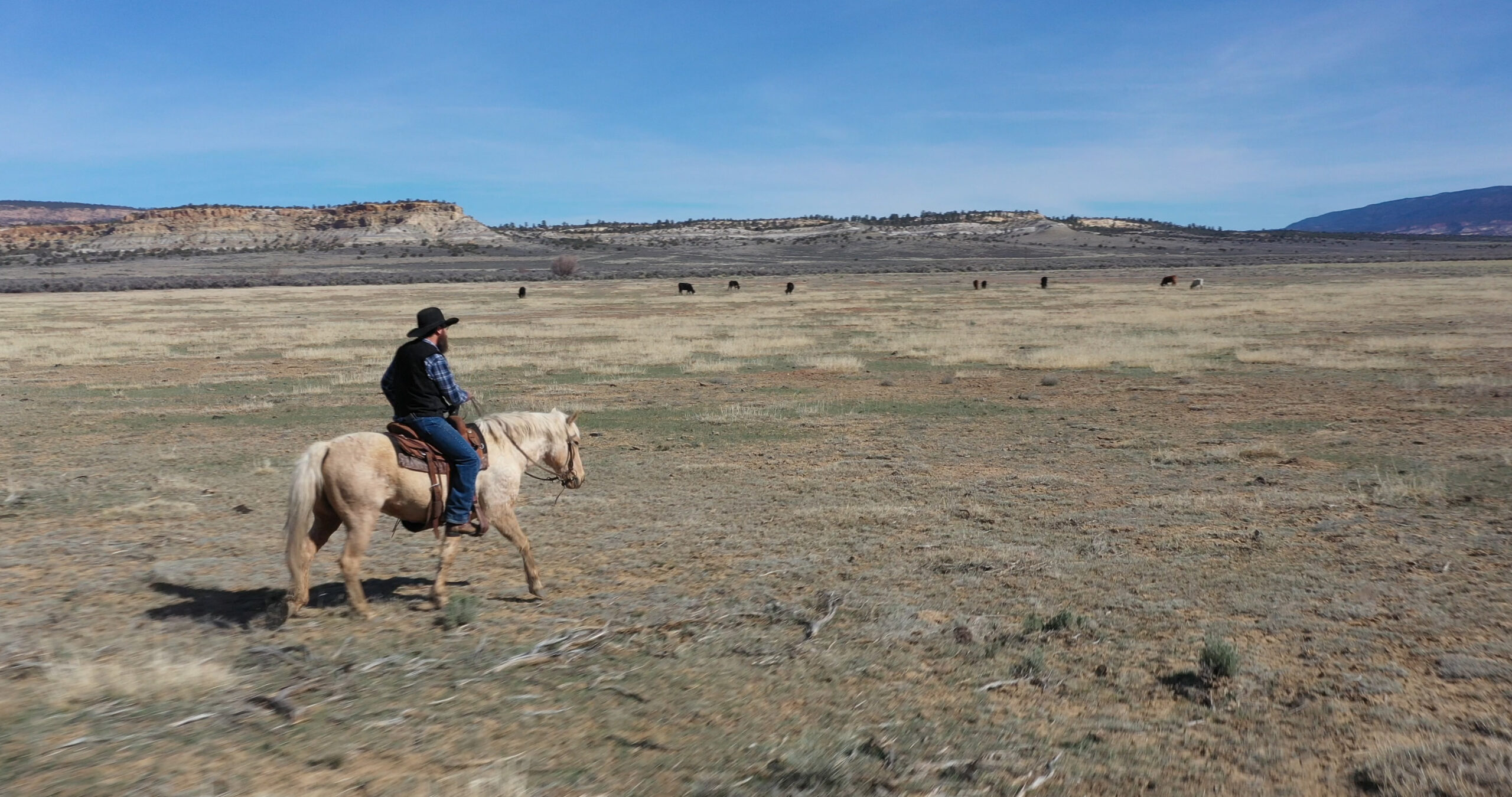 A man sits on a horse in the middle of an open desert field.